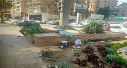 بدء أعمال تطوير «جزيرة العرب – جامعة الدول» بالعجوزة لتحسين الصورة البصرية