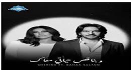 تفاصيل ديو غنائي يجمع شيرين عبدالوهاب وبهاء سلطان