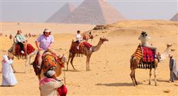 غرفة السياحة: ترخيص 950 مَركبة سياحية جديدة خلال عام 2025