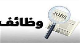 وظائف شاغرة برواتب 10 آلاف جنيه وتأمينات.. شروط القبول والأوراق المطلوبة