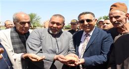 محافظ القليوبية خلال تفقد موسم حصاد القمح بمدينة قها: حريصون على دعم المزارع 