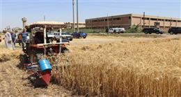 الجريدة الرسمية تنشر قرار وزارة التموين برفع سعر توريد القمح المحلي