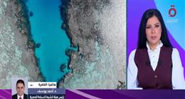 رئيس هيئة تنشيط السياحة: مصر حققت معدلات قياسية في القطاع قبل الحرب الإيرانية الأمريكية
