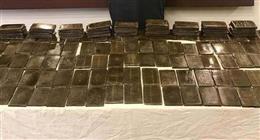 ضبط 60 طربة حشيش بحوزة شخص في الجيزة