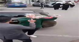 تحرير محضر ضد سيدات اعتدين على موظفي «طب بيطري بورسعيد» وأطلقن سراح الكلاب بعد تعقيمها