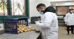 «الزراعة»: فحص 9414 عينة بطاطس بإجمالي 252 ألف طن للتصدير خلال مارس 
