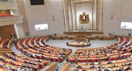 «لا وجود للأرز الجاف».. وزير الزراعة ينهي الجدل أمام النواب
