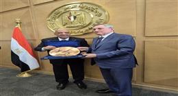وزير الكهرباء يستقبل وفدا من مجلس الدوما الروسي