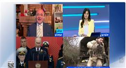باحث سياسي: الحديث عن هدنة بين روسيا وأوكرانيا لا يعني توقف كامل للعمليات العسكرية  