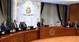 الحكومة تحدد اختصاصات نائب وزير الخارجية والتعاون الدولي والمصريين بالخارج
