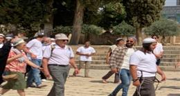 اقتحام جديد للمسجد الأقصى وحائط البراق على يد مستوطنين إسرائيليين