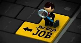 وظائف شاغرة براتب 11 ألف جنيه.. اعرف التخصصات المطلوبة وشروط التقديم