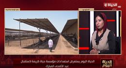 هند جلال توضح استراتيجية «حياة كريمة» لتوزيع اللحوم وتمكين الأسر قبل عيد الأضحى