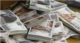 ضبط  قضايا اتجار في العملات الأجنبية بـ5 ملايين جنيه خلال 24 ساعة