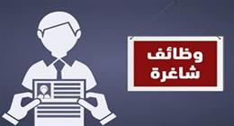 بمرتبات شهرية تصل إلى 12 ألف جنيه.. وظائف من وزارة العمل بتأمينات وحوافز