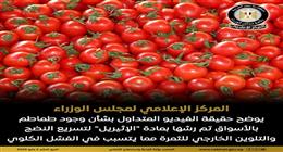 «إعلامي الوزراء» ينفي وجود طماطم مرشوشة بـ«الإثيريل» في الأسواق