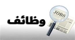 وزارة العمل توفر 215 وظيفة شاغرة بشركة نسيج كبرى بدون مؤهل عال.. طريقة التقديم