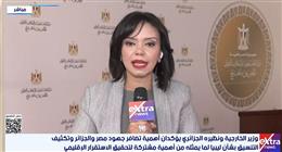 الحل السياسي السبيل الوحيد لإنهاء الأزمة.. تفاصيل الاجتماع الوزاري الرابع لآلية دول جوار ليبيا