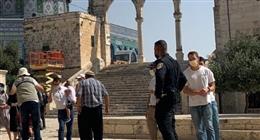 الانتهاكات الإسرائيلية تتواصل.. اقتحام باحات المسجد الأقصى وتدمير شواهد قبور