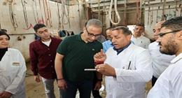 بالأسماء والمناطق.. الجيزة تخصص 23 مجزرا لاستقبال الأضاحي في العيد
