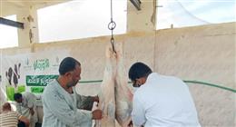 رفع درجة الاستعداد القصوى بمجازر أسوان طوال أيام عيد الأضحى وتكثيف أعمال النظافة والتطهير