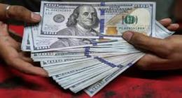 سعر الدولار مقابل الجنيه اليوم في مصر.. آخر تحديث بعد توقف التداولات