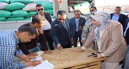 توريد 30 ألف طن من القمح إلى صوامع وشون المنوفية منذ بداية الموسم