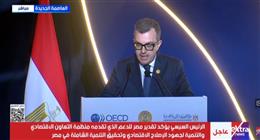 وزير التخطيط: البرنامج القطري يضم 35 مشروعا في 5 محاور تنموية
