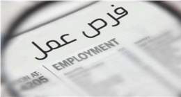 وظائف حكومية شاغرة في عدد من الهيئات اليوم.. الشروط والتفاصيل