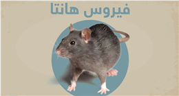  هل فيروس هانتا معد؟ الصحة العالمية تكشف أعراضه ومضاعفاته الخطيرة