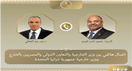 وزير الخارجية ونظيره التنزاني يبحثان تعزيز الشراكة الثنائية
