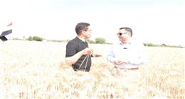 مع بداية يونيو.. «مناخ الزراعة» يحذر من خطورة «الإجهاد الحراري الصامت»