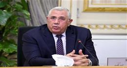 «زراعة النواب» تطالب الحكومة بقاعدة بيانات عن الكلاب الضالة