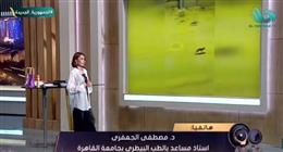 طبيب بيطري: أعتقد أن ظهور الثعالب في حدائق أكتوبر أمر مفتعل