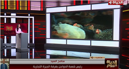رئيس شعبة الدواجن: إنشاء بورصة تحت إشراف الدولة يحقق العدالة للمستهلك والمنتج