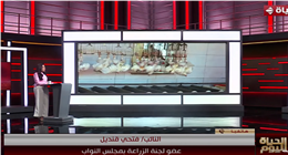عضو بـ«زراعة النواب»: الدولة تنحاز للمواطن وتسعى لتحقيق توازن عادل في سوق البيض