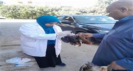 سحب 258 عينة من 38 مزرعة دواجن قبل البيع لفحصها معمليًا  في القليوبية  