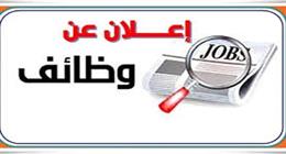 «معلومات الوزراء»: فجوة الوظائف قد تصل إلى 408 ملايين وظيفة بحلول 2026