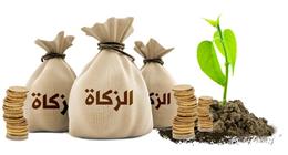 حساب الزكاة.. كم تدفع وكيف تحسبها بشكل صحيح؟ دار الإفتاء توضح