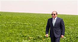 حصاد 12 عاما في القطاع الزراعي.. قفزات تاريخية في الإنتاج ومنتجات مصرية تغزو أسواق العالم
