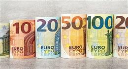 استقرار سعر اليورو أمام الجنيه المصري اليوم السبت 20-6-2026