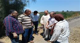 «التنمية المحلية»: مشروعات البيوجاز خطوة محورية للاستفادة من المخلفات الحيوانية