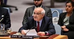 مندوب فلسطين بمجلس الأمن: إسرائيل تواصل عمليات الضم بشكل متسارع وغير مسبوق