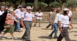 المستوطنون يواصلون انتهاكاتهم في الأراضي الفلسطينية المحتلة.. اقتحام جديد لباحات الأقصى