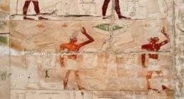 أسلوب فني مقصود.. لماذا صور  المصري القديم الرأس من الجانب والعين من الأمام؟