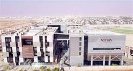 الفروع الأجنبية للجامعات.. ركيزة الحصول على مكانة متقدمة في التصنيفات الدولية
