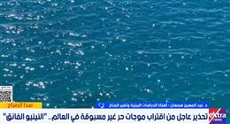 خبير بيئي: التغيرات المناخية تؤثر سلبا على التنوع البيولوجي في البحار والمحيطات