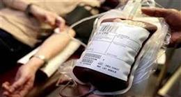 «صحة القاهرة» تدعو المواطنين للمشاركة في الحملة القومية للتبرع بالدم