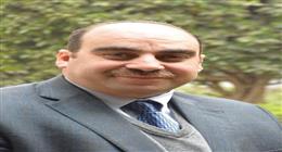 خبير دولي: الإبادة العشوائية للكلاب الضالة تهدد بظهور الثعالب والفئران في المدن