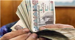 قبل زحام 20 يوليو.. ماذا تفعل إذا انتهت صلاحية فيزا «ميزة» للمرتبات وكيف تجددها؟